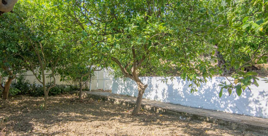 Spiti Kritikos Apartment Беницес Екстериор снимка